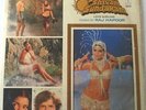 SATYAM SHIVAM SUNDARAM  BOLLYWOOD FILM PEALP 2011  LP RECOPRD