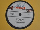 RARE LATE PRESSING ROCK AND ROLL 78 The Chantels END 1030 If You Try