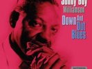 SONNY BOY WILLIAMSON Down And Out Blues DOUBLE LP VINYL European Not Now 2011