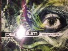 Pendulum Hold Your Colour 12” Vinyl