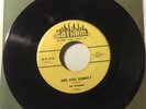 THE WHISPERS 45 RPM GOTHAM G-7-312 ARE YOU SORRY DOO WOP NM-