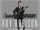 Roy Orbison - Love So Beautiful