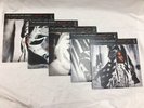 The Mississippi Sheiks Complete Recorded Works Volumes 1 - 5, Third Man Records