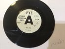 NORTHERN SOUL RARE THE BLUECHIPS 1966 PYE PROMO WHITE LABEL TELL HER/ GOOD LOVIN