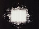 tool aenima 2 lps