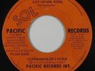 Funk 45 - Standards Of Living - Cut Up Mr. Kool - Pacific - mp3 - rare