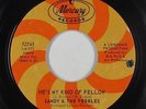 Northern Soul 45 - Sandy & The Pebbles - He's My Kind Of Fellow - Mercury - mp3