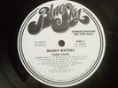 MUDDY WATERS Hard Again N. Mint WL promo promotional white label Johnny Winter