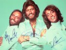 AUTHENTIC SIGNED THE BEE GEES BAND 12 X 8 PHOTO..REAL SIGNATURES..COA...GIBB