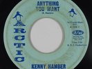 Northern/Deep Soul 45 - Kenny Hamber - Anything You Want - Arctic - mp3