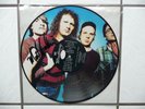 Mudhoney ?– Every Good Boy.. Picture Disc LP ltd.Edition of 275 Sub Pop