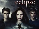 Twilight Saga SCORE (Vinyl 2 LP) Limited Edition Set - Gatefold Factory Sealed