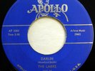 The LARKS 45 Darlin'/Lucy Brown APOLLO doo wop NM repro ws839