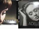 2 ADELE Records LP Albums 19 & Adele 21 MINT Condition VINYL Roll in Deep