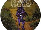 This Savage Land (Limited Picture Disc) - BLACK SPIDERS [LP]