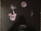 The Sisters Of Mercy Floodland Vinyl Record LP Album WEA 607621 Electra VG+/VG+