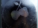 SILVER APPLES SELF-TITLED 1st ULTRA-RARE SEALED ORIG '68 KAPP STEREO LP w/POSTER