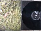 The Dear Hunter Act I: The Lake South, The River North Vinyl LP
