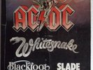 AC/DC Tourprogramm 1981 Monsters of Rock Donington Tourbook Tourbuch Whitesnake
