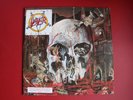 Vinyl Schallplatte Slayer - South of heaven