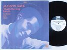 MARVIN GAYE That's The Way Love Is TAMLA LP VG++/VG+ wlp