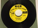 THE CHARADES 45 RPM MGM K13584 I DON'T WANT TO LOSE YOU PROMO  