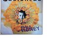 Radiohead ?– Pablo Honey LP