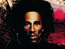 Bob Marley and The Wailers-Natty Dread  Vinyl / 12