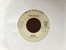 MARIA DALLAS Northern Soul 45 AMBUSH   Rca Victor