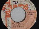 FLAMING PHONICS ( EARL 16 ) - HEY BABY - TOTAL SOUNDS ( KILLER ROOTS 7 )