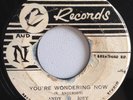 ANDY & JOEY - YOU'RE WONDERING NOW - C AND N ( SKA 7 )