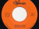 HERMAN GEORGE Mental High / What Have You Got BET Indiana Sweet Soul 45 Hear