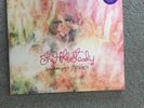The Hold Steady Boys and Girls in America 2xLP sealed vinyl deluxe reissue