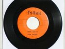DON SNYDER Tiger A-Go Go 45 Vinyl Tri-World TW-303 Garage Surf Teen NM H-237