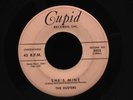The Dusters-She's Mine/Rock At The Hop-Cupid 5003-RARE ROCK N ROLL 45RPM