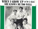 BEACH BOYS - When I Grow Up (To Be A Man)   (picture sleeve only) - NM