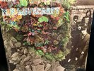 (( ORIG 1967 PSYCH ALBUM   H.P. LOVECRAFT   'wayfaring stranger' ((EX))