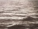 REICH, Steve - Four Organs/Phase Patterns - Vinyl (gatefold LP)