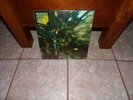 SEALED CREEDENCE CLEARWATER REVIVAL 