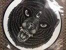 I Am The Avalanche Wolverines Picture Disc Vinyl + Transit Listen & Forgive LP