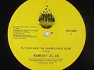 Ramsey 2C-3D - Fly Guy 12