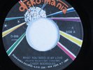 70s Soul Disco 45 CINDY RODRIGUEZ What You Need Is My Love DISKO MANIA HEAR