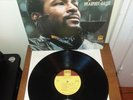 Marvin Gaye 