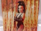 LP Alaska y Dinara VINYL, radio futura,ole ole, mecano, Ducan Dhu,caifanes,zoe,