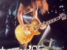 SLASH'S SNAKEPIT - GUNS N ROSES - 1995 - Konzertplakat - Tourposter - Berlin