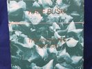 Kate Bush The Single File Box Set 1978-1983 VINYL 45 RPM'S