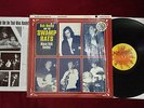 LP   heavy 180 gram Vinyl   BOB HOCKO & THE SWAMP RATS - Disco Still Sucks  2003