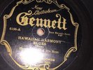 PRE WAR BLUES JOHNSON BOYS (Henry Moon) Gennett 6156 Hawaiian Harmony Blues E