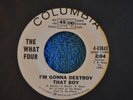 THE WHAT FOUR 45RPM I'M GONNA DESTROY THAT BOY / AIN'T NO USE IN CRYING SUSAN