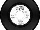 THE AD LIBS - JOHNNY MY BOY - BLUE CAT DEMO -  EXCELLENT CONDITION